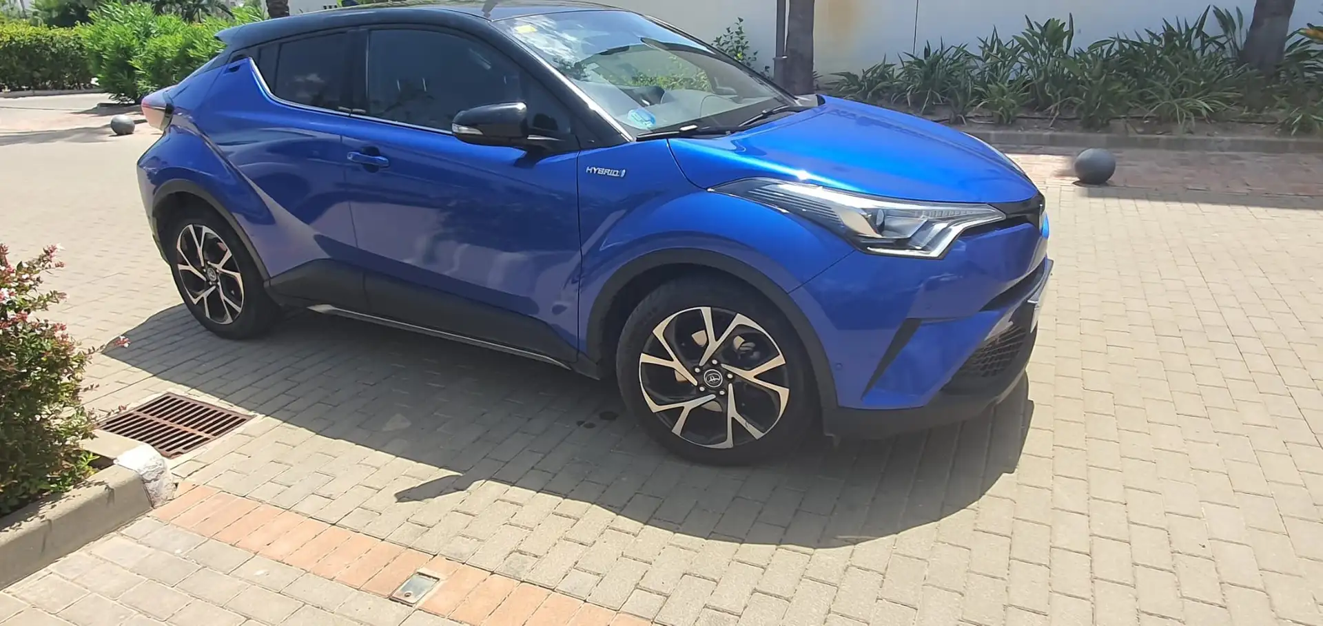 Toyota C-HR C-HR 125H Dynamic Plus Dynamic Plus Azul - 1
