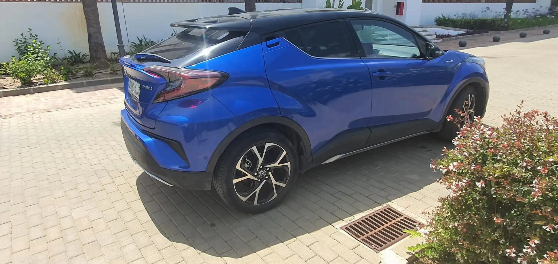 Toyota C-HR C-HR 125H Dynamic Plus Dynamic Plus Azul - 2