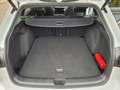 Volkswagen Golf Variant VIII Variant 2.0 TSI R-Line  STANDHEIZUNG+NAVI+MA Weiß - thumbnail 13