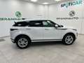 Land Rover Range Rover Evoque II -  2.0d i4 R-Dynamic fwd 150cv Bianco - thumbnail 4