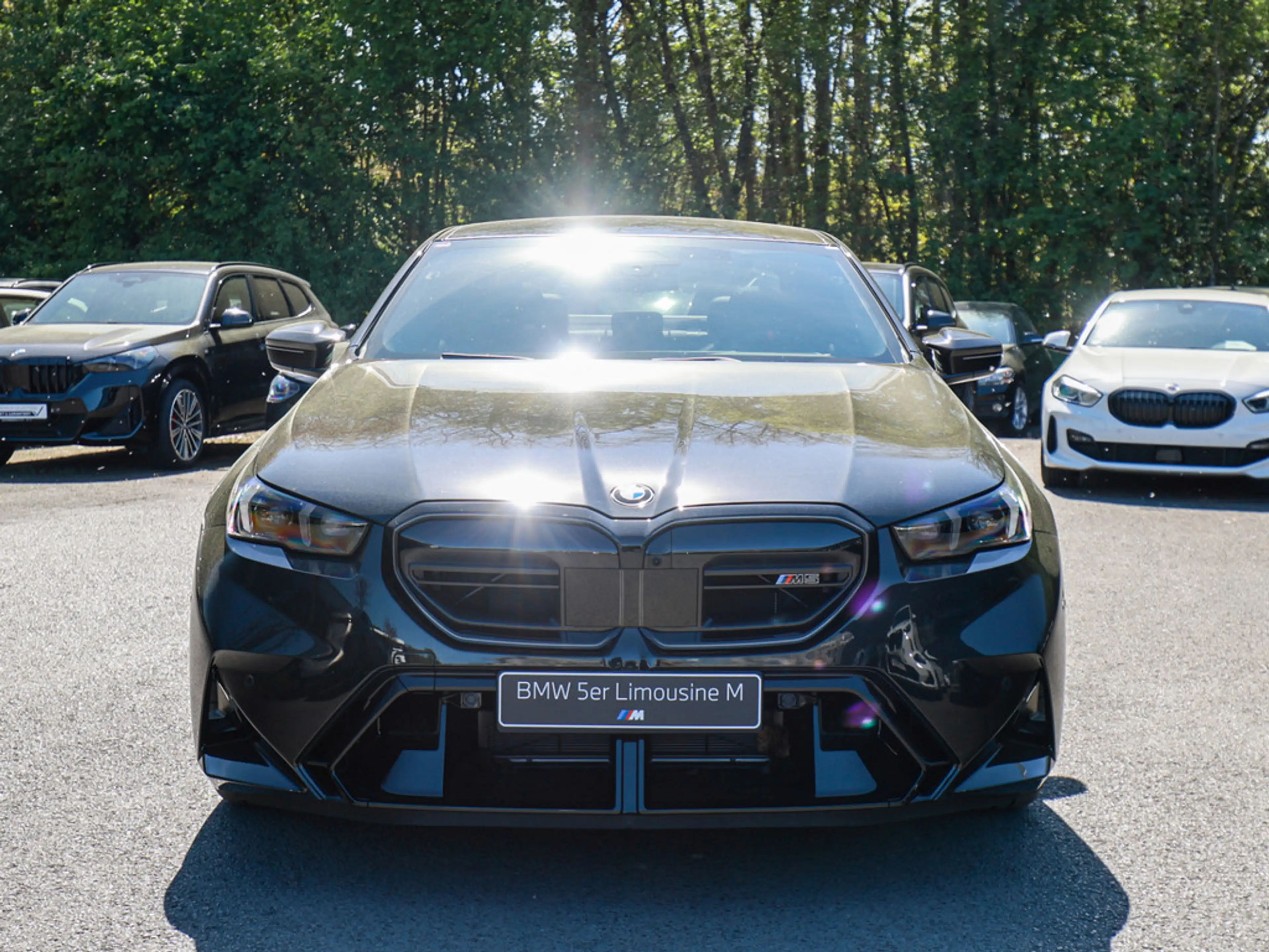 BMW M5 360° PANO LED SITZBELÜFTUNG ACC AHK B&W — photo 4