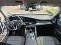 Alfa Romeo Giulia Giulia 2.2 t Giulia 160cv Blanc - thumbnail 14