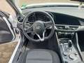 Alfa Romeo Giulia Giulia 2.2 t Giulia 160cv Blanc - thumbnail 15