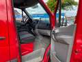 Mercedes-Benz Sprinter II Kasten 311 CDI Roşu - thumbnail 11