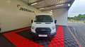 Ford Transit t350 l3h2 2.0 ecoblue 130 ss trend business Blanc - thumbnail 2