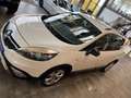 Renault Scenic III BOSE Edition *Klima*Navi*Bluetooth* Blanc - thumbnail 24