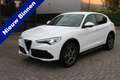 Alfa Romeo Stelvio 2.0 T AWD Super Navi-Xenon-Leder-Memory-Camera-Afn - thumbnail 1