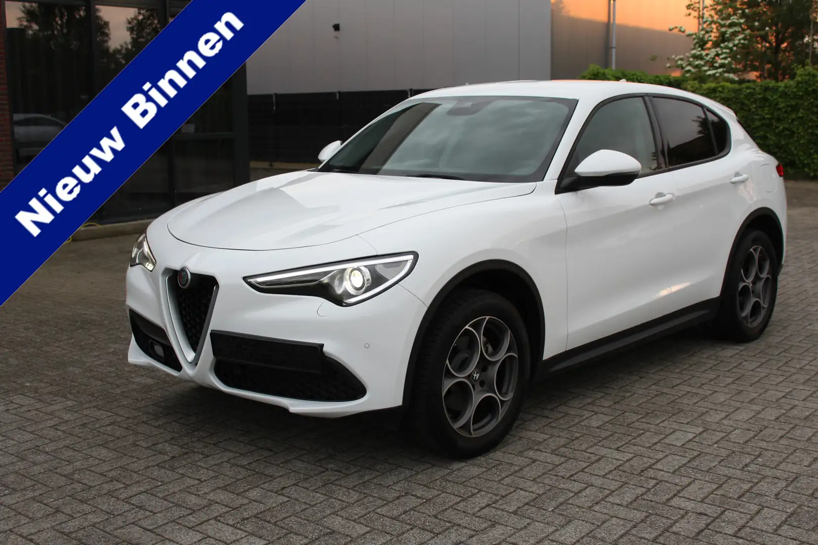 Alfa Romeo Stelvio 2.0 T AWD Super Navi-Xenon-Leder-Memory-Camera-Afn - 1