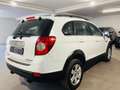 Chevrolet Captiva Captiva 2013 2.2 DLT  163cv*7 POSTI* Bianco - thumbnail 3