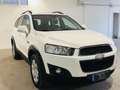 Chevrolet Captiva Captiva 2013 2.2 DLT  163cv*7 POSTI* Bianco - thumbnail 2