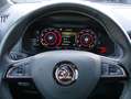 Skoda Karoq 2.0TDi Sportline 4x4 ACC Columbus AHK Grijs - thumbnail 10