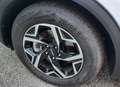 Kia Sportage Sportage 1.6 crdi mhev Business mt Blanc - thumbnail 7