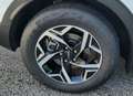 Kia Sportage Sportage 1.6 crdi mhev Business mt Blanc - thumbnail 5