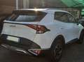Kia Sportage Sportage 1.6 crdi mhev Business mt Blanc - thumbnail 9
