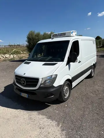 Mercedes-Benz Sprinter Frigorifero