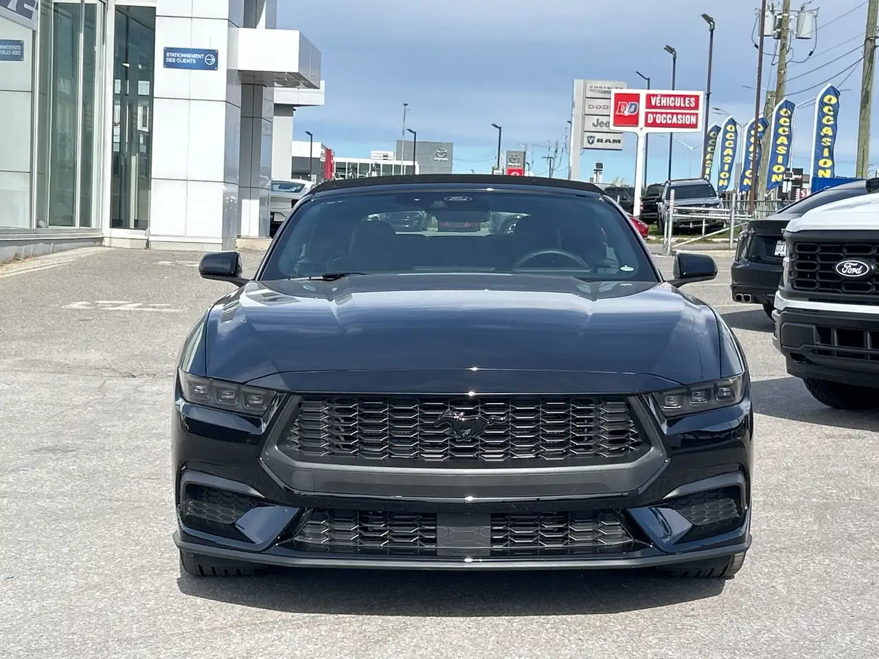 Ford Mustang photo Ford Mustang