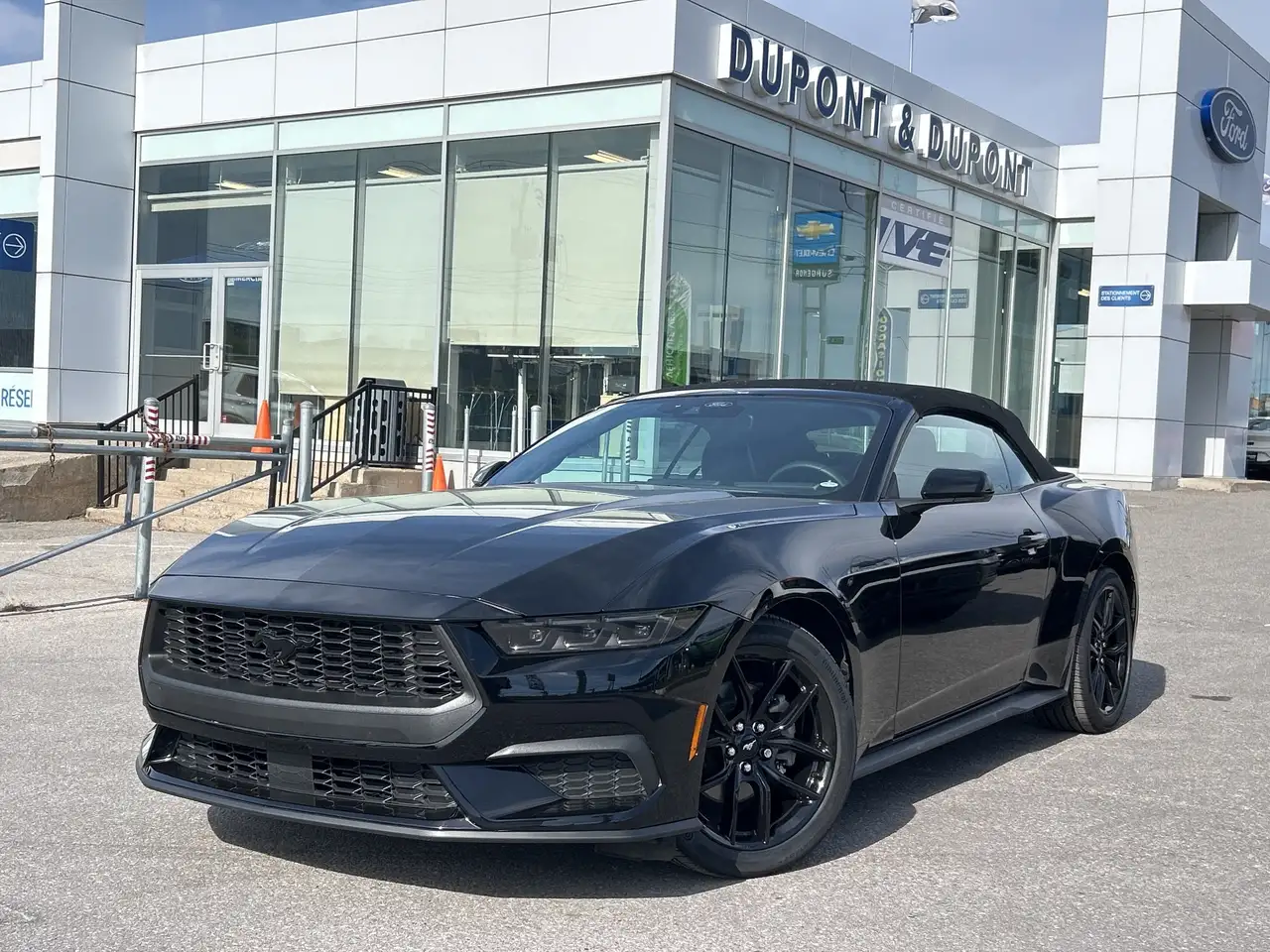 Ford Mustang photo Ford Mustang