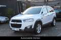 Chevrolet Captiva 2.2 D LTZ 4WD*7SITZER*LEDER*NAVI*RFK! Blanc - thumbnail 1
