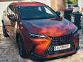 Lexus NX 450h+ NX 450h  E-Four Executive Aut. Executive Orange - thumbnail 3