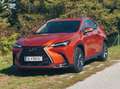 Lexus NX 450h+ NX 450h  E-Four Executive Aut. Executive Orange - thumbnail 5