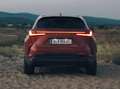 Lexus NX 450h+ NX 450h  E-Four Executive Aut. Executive Orange - thumbnail 2