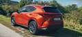 Lexus NX 450h+ NX 450h  E-Four Executive Aut. Executive Orange - thumbnail 7
