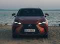 Lexus NX 450h+ NX 450h  E-Four Executive Aut. Executive Orange - thumbnail 1