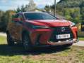 Lexus NX 450h+ NX 450h  E-Four Executive Aut. Executive Orange - thumbnail 8