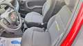 Fiat Panda Pandina 1.0  hybrid s chilometri zero vari colori Rouge - thumbnail 8