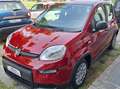 Fiat Panda Pandina 1.0  hybrid s chilometri zero vari colori Rouge - thumbnail 3