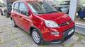Fiat Panda Pandina 1.0  hybrid s chilometri zero vari colori Rouge - thumbnail 2