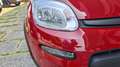 Fiat Panda Pandina 1.0  hybrid s chilometri zero vari colori Rouge - thumbnail 11
