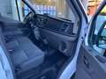 Ford Transit 2.0d 7 POSTI CASSONE RIBALTABILE  PREZZO+IVA Bianco - thumbnail 14