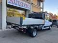 Ford Transit 2.0d 7 POSTI CASSONE RIBALTABILE  PREZZO+IVA Bianco - thumbnail 5