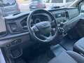 Ford Transit 2.0d 7 POSTI CASSONE RIBALTABILE  PREZZO+IVA Bianco - thumbnail 13