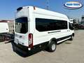 Ford Transit Bus 17 posti Weiß - thumbnail 4