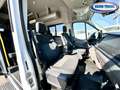 Ford Transit Bus 17 posti Weiß - thumbnail 9