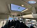 Ford Transit Bus 17 posti Weiß - thumbnail 16