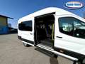 Ford Transit Bus 17 posti Weiß - thumbnail 7