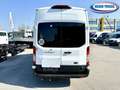 Ford Transit Bus 17 posti Weiß - thumbnail 6