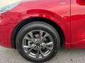 Ford Kuga 2.5 Full Hybrid 190cv CVT AWD ST-Line X TETTO-PELL Rouge - thumbnail 7