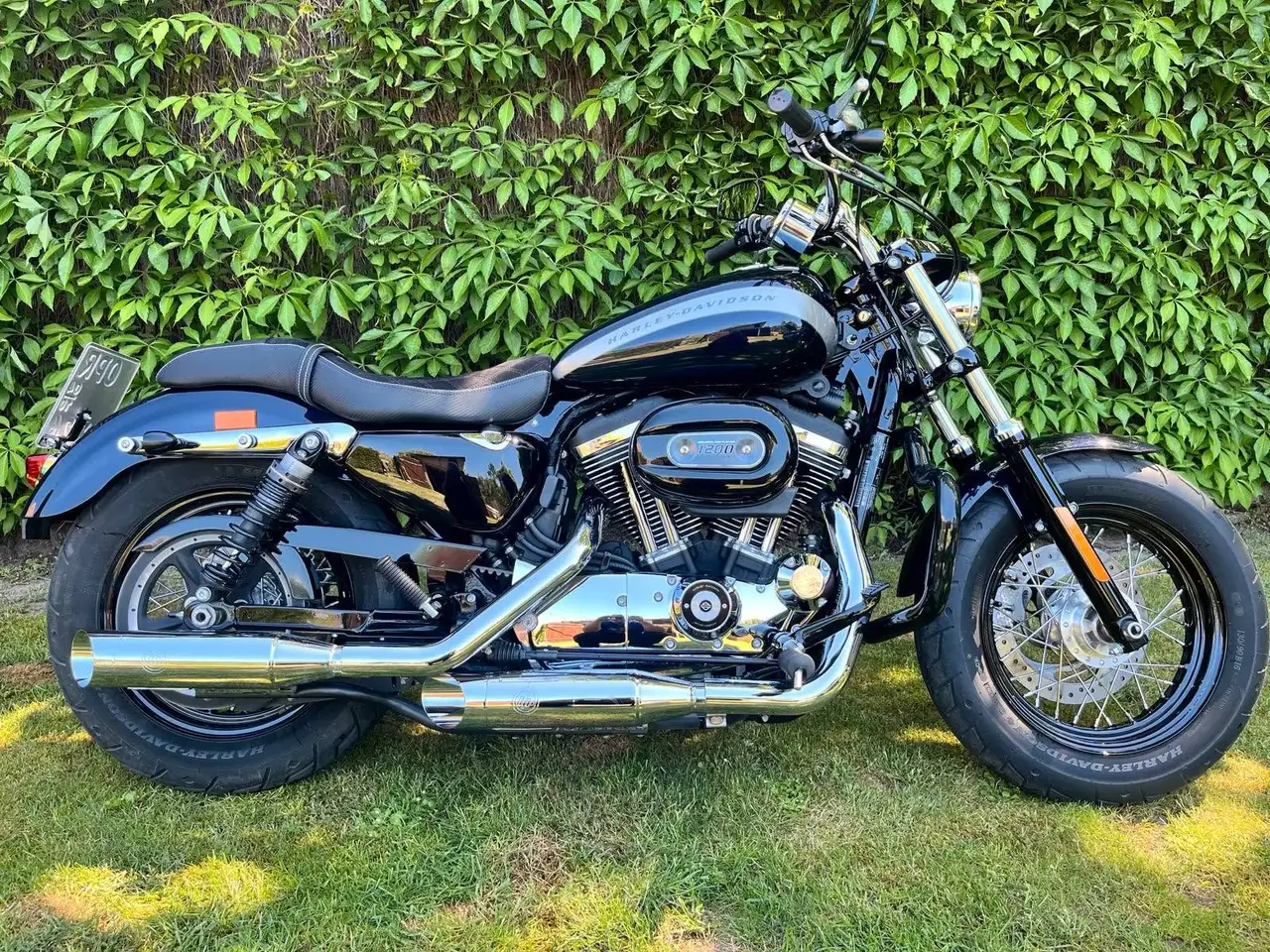 Harley-Davidson XL 1200