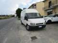 Ford transit Blanc - thumbnail 3