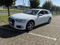 Audi A6 40 TDI advanced Weiß - thumbnail 1