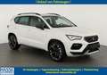 CUPRA Ateca Basis 4Drive 2.0 TSI DSG 4Drive, Navi, Side, el... Weiß - thumbnail 1