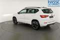 CUPRA Ateca Basis 4Drive 2.0 TSI DSG 4Drive, Navi, Side, el... Weiß - thumbnail 33