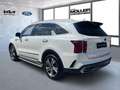 Kia Sorento 1.6T PHEV AWD Platinum Glasdach Leder Nappa Navi 3 Weiß - thumbnail 4