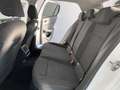 Volkswagen Golf VIII 2,0 DSG/Life/NAV/LED/ACC/AppleCarPlay Weiß - thumbnail 32
