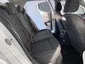 Volkswagen Golf VIII 2,0 DSG/Life/NAV/LED/ACC/AppleCarPlay Weiß - thumbnail 33