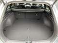 Kia Ceed SW / cee'd SW 1.5 T-GDi DCT7MHEV DynamicPlusLine DEMOVOORDEEL!!! Grijs - thumbnail 10